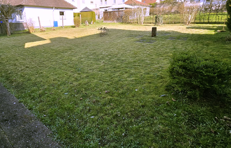 Gartenpflege mit Liebe zum Detail: ein professionell gemähter Rasen wirkt gesund und gepflegt - Handwerker Robert Schäke aus Bad Pyrmont, ihr Allround Handwerkerservice für Dienstleistungen in Haus und Garten um Hameln und Bad Pyrmont, Handwerker Allrounder für Renovierung, Modernisierung, Sanierung im Raum Hameln Pyrmont. Wasserschadensanierung und Kaminsanierung durch den Handwerkerservice Robert Schäke. Frisch gemähter, dichter Rasen in einem gepflegten Gartenbereich.